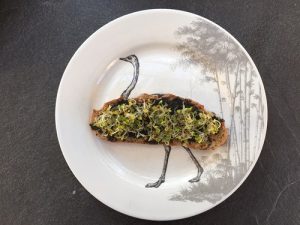 graines-germées-naturopathe-alimentation-vitamine